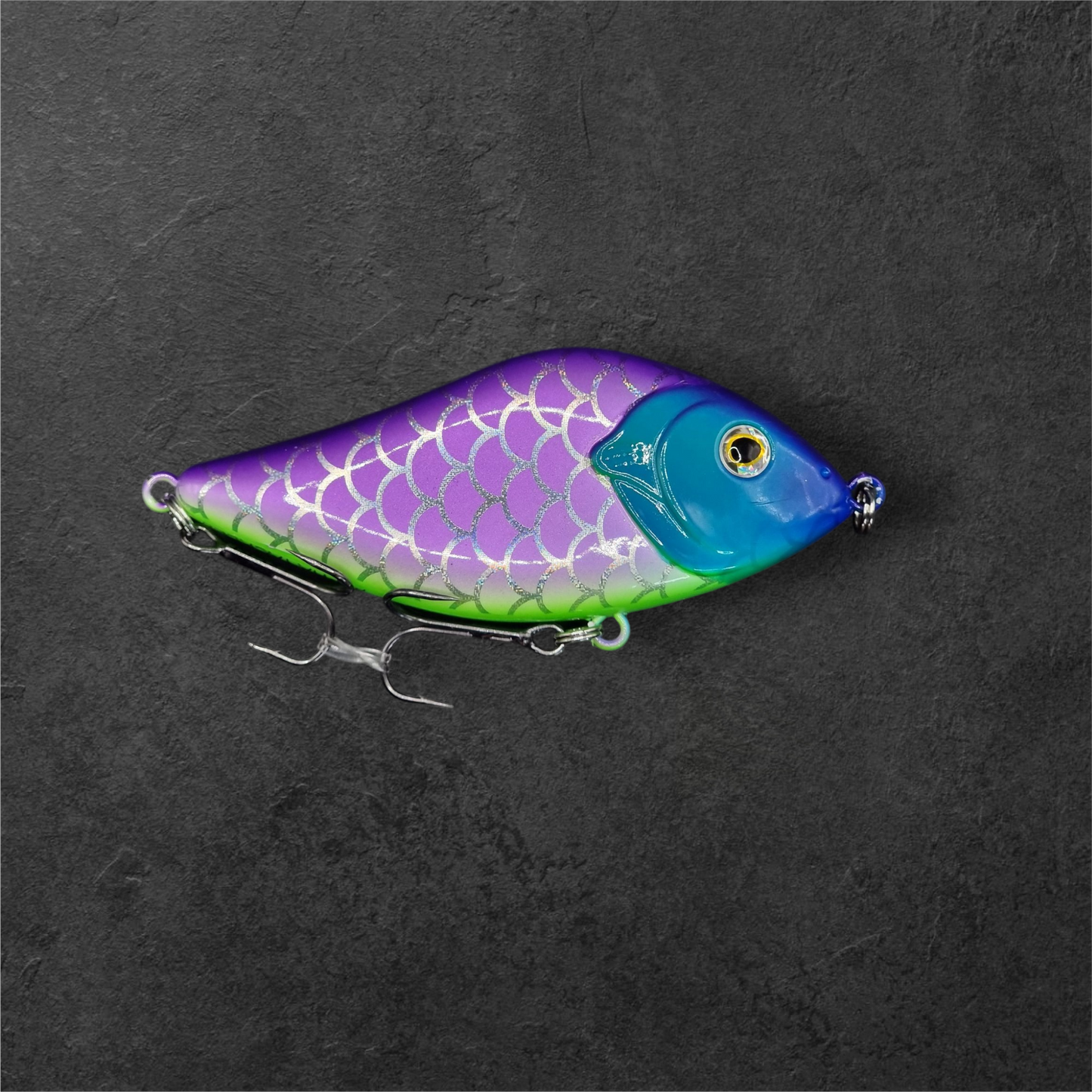 The rainbow fish