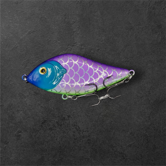 The rainbow fish