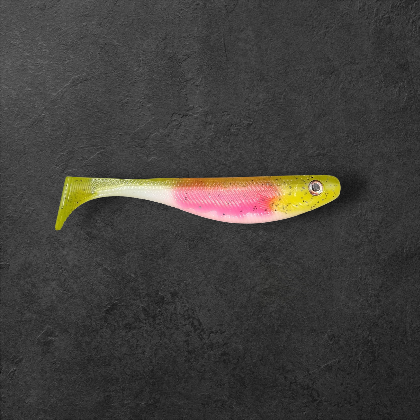 Rainbow trout