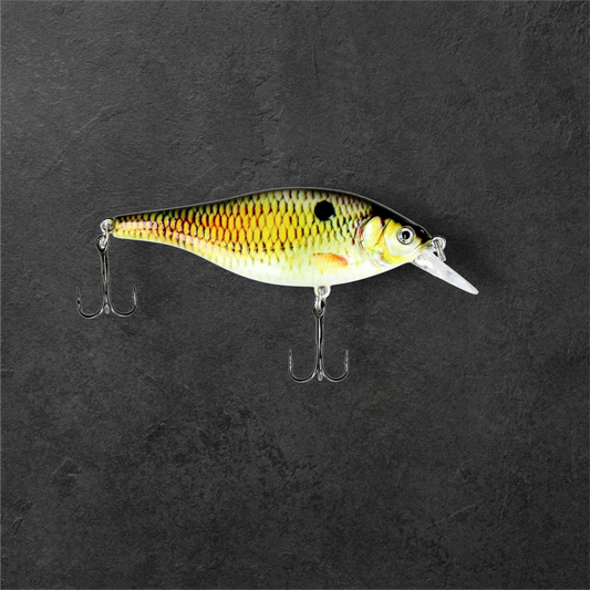 Almost Real Roach Crankbait