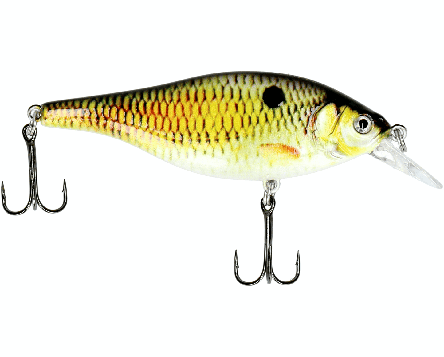 Alomst Real Roach Crankbait